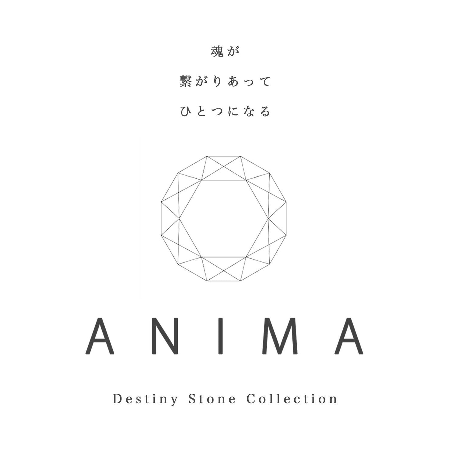 -ANIMA- 運命石ネックレス